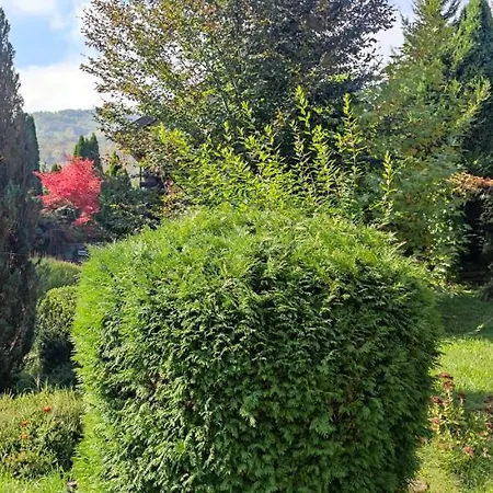 Luxury Riverfront With Pool&sports Vikendica *