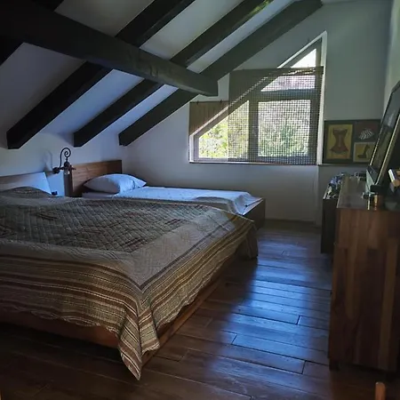 Luxury Riverfront With Pool&sports Vikendica Uvac